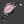 Load image into Gallery viewer, REEF X AUTOMATIC DIVER - Cotton Candy Black DLC Limited Edition 43MM