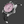 Load image into Gallery viewer, BLACKPOOL GMT AUTOMATIC-Cotton Candy Steel 40MM