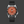 Load image into Gallery viewer, BLACKPOOL GMT AUTOMATIC-Tangerine 39MM