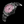 Load image into Gallery viewer, BLACKPOOL GMT AUTOMATIC-Cotton Candy Black DLC 40MM