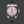 Load image into Gallery viewer, BLACKPOOL GMT AUTOMATIC-Cotton Candy Steel 40MM