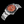 Load image into Gallery viewer, BLACKPOOL GMT AUTOMATIC-Tangerine 39MM