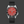 Load image into Gallery viewer, BLACKPOOL GMT AUTOMATIC-Fire Engine Red 39MM