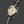 Load image into Gallery viewer, BLACKPOOL GMT AUTOMATIC-Vintage Beige DLC 40MM
