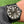 Load image into Gallery viewer, Wraith PVD Black Steel with White Accents
