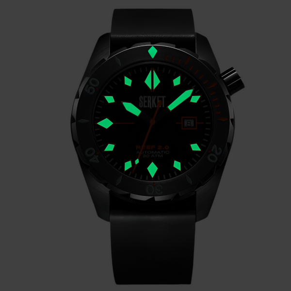 REEF 2.0 DIVER SWISS AUTOMATIC 30ATM-Black Diving Watch 46MM