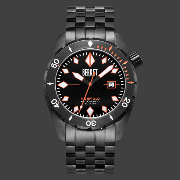 REEF 2.0 DIVER SWISS AUTOMATIC 30ATM-Black PVD Diving Watch 46MM