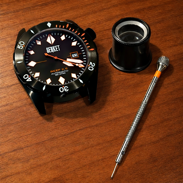 REEF 2.0 DIVER SWISS AUTOMATIC 30ATM Black PVD Diving Watch 46MM